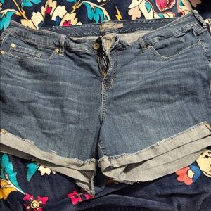 Torrid Women's Shorts 22